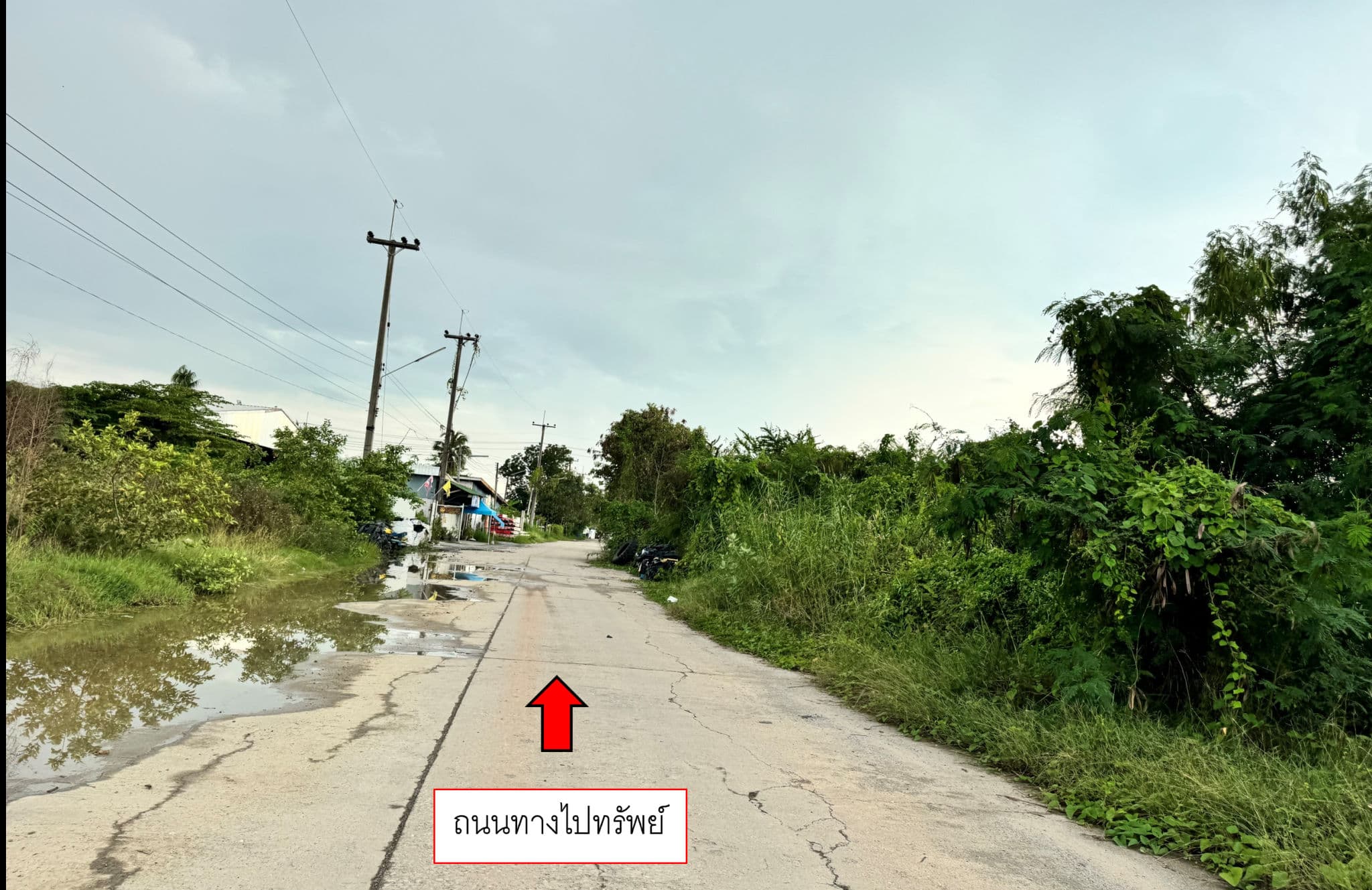ทางไปทรัพย์ 2.png