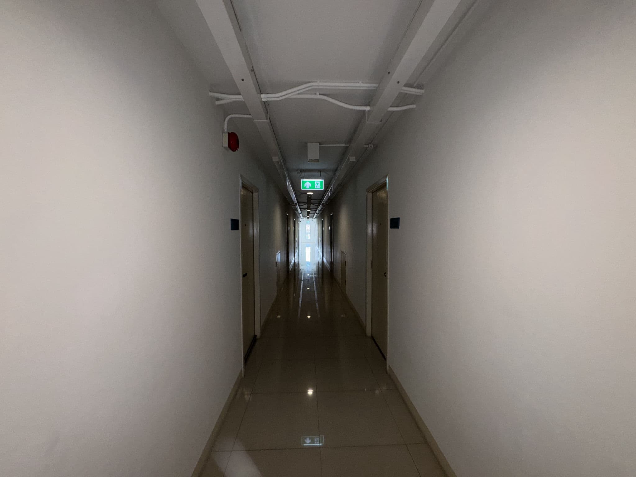 IMG_8230.jpeg