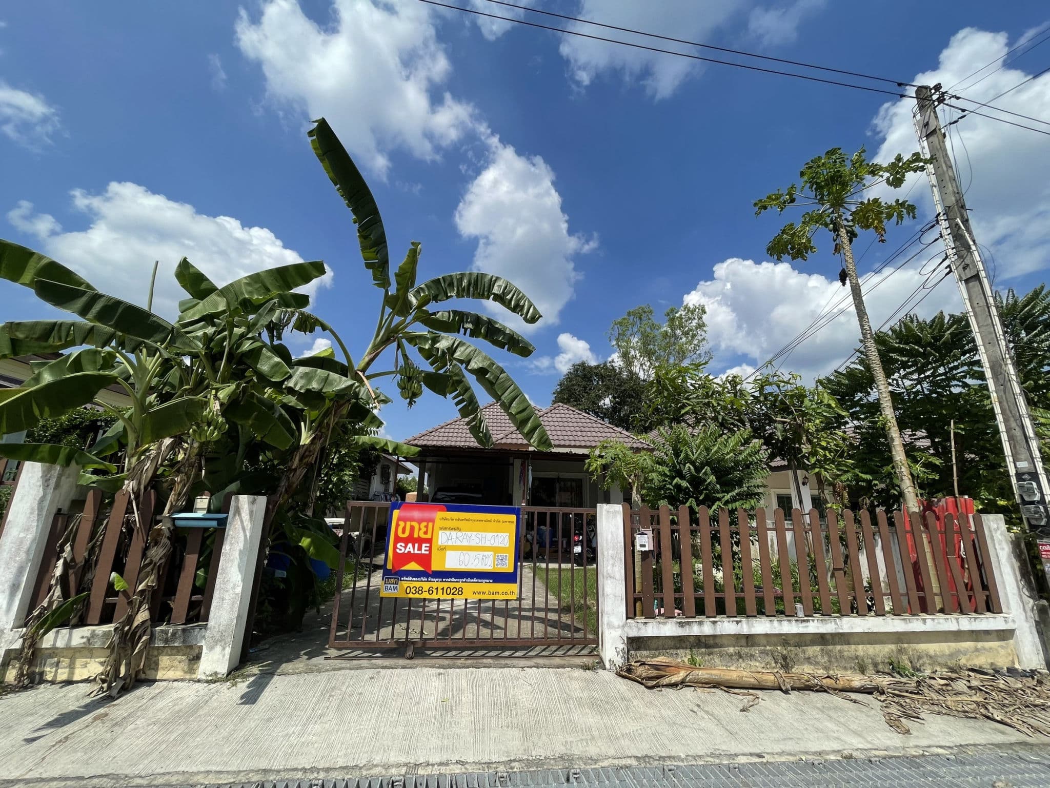 S__84369456.jpg