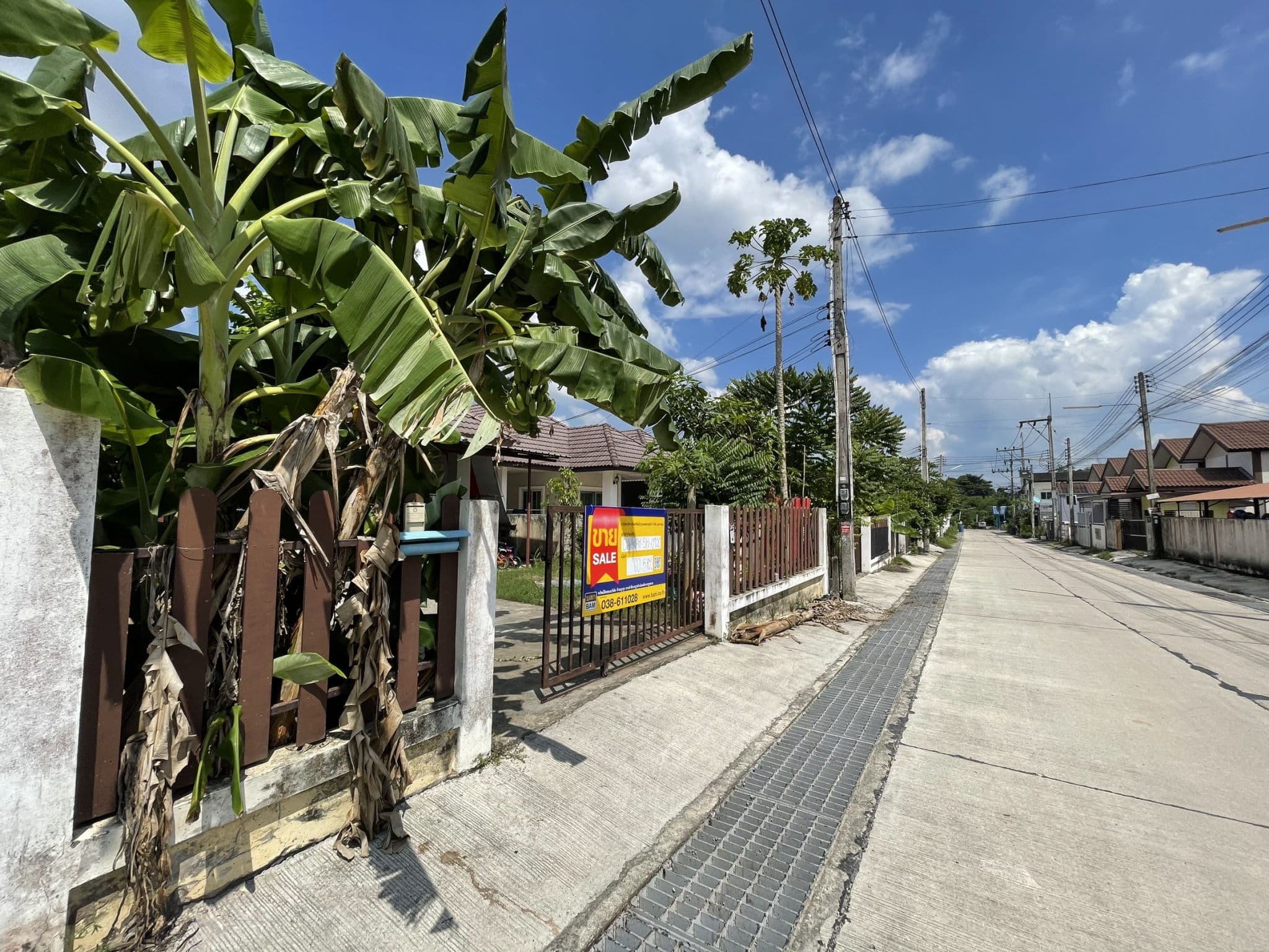 S__84369457.jpg