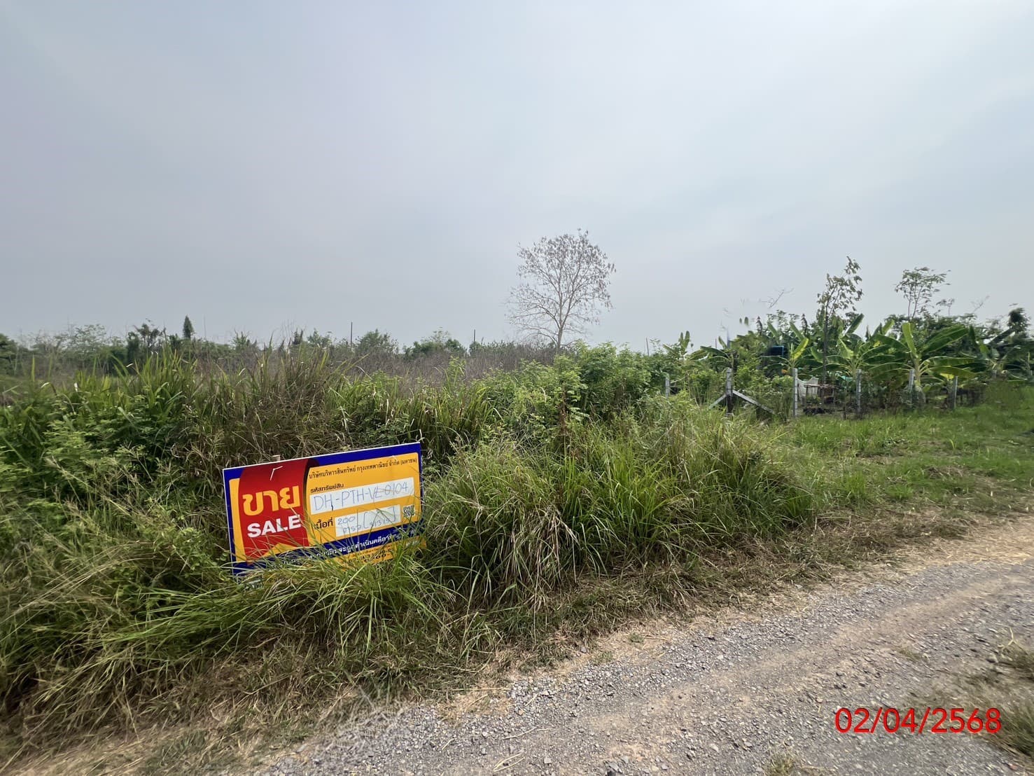 d4037f4c-148300-1.jpg