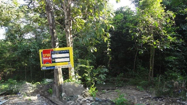 full_20200528151856.jpg