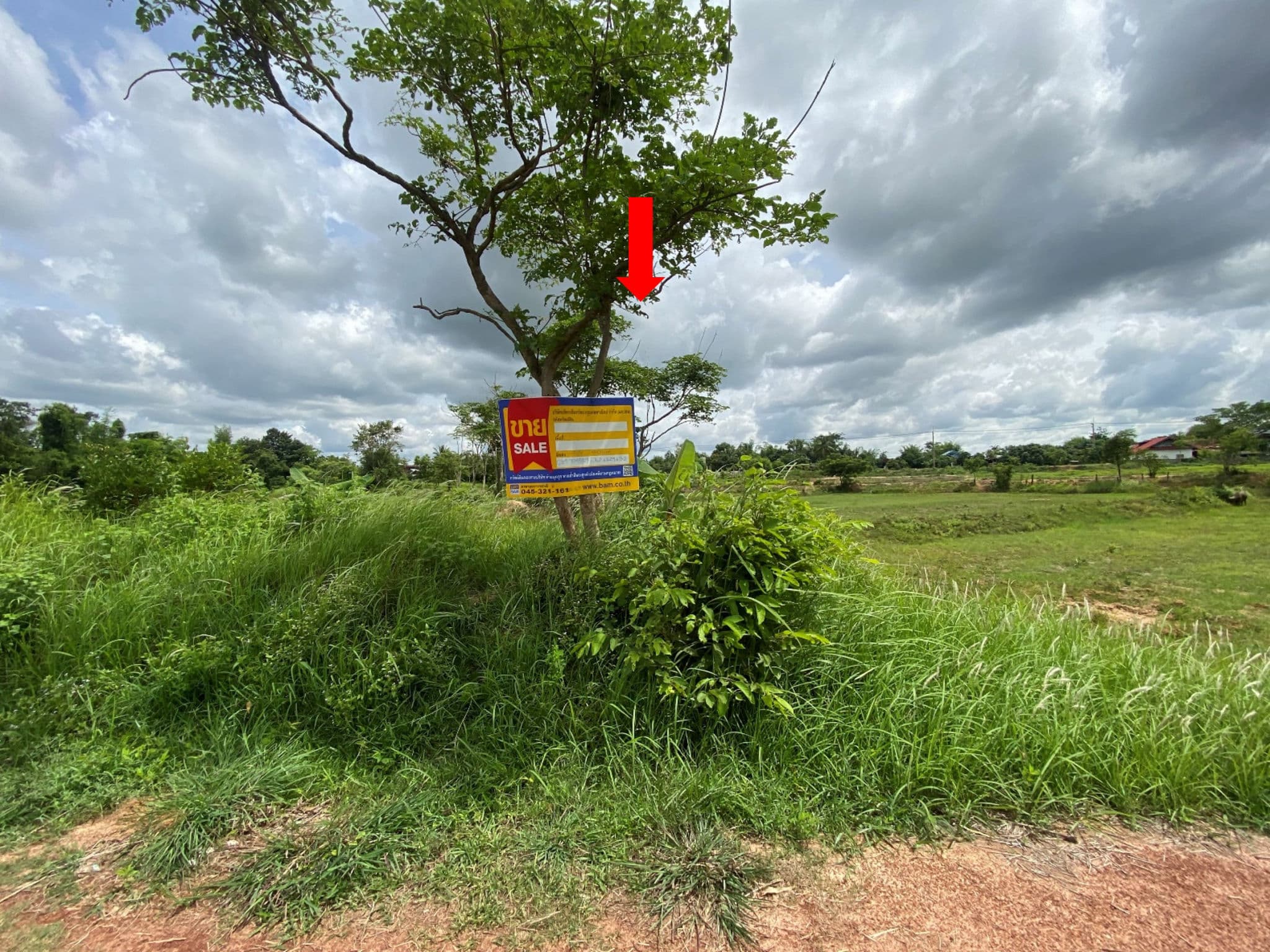 รูปภาพ33.jpg
