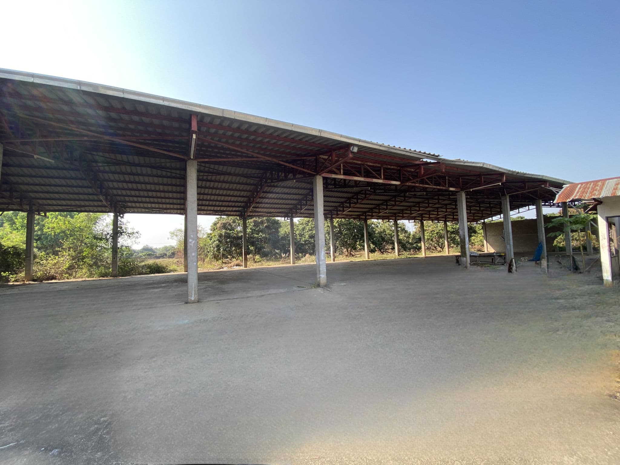 image (37).png
