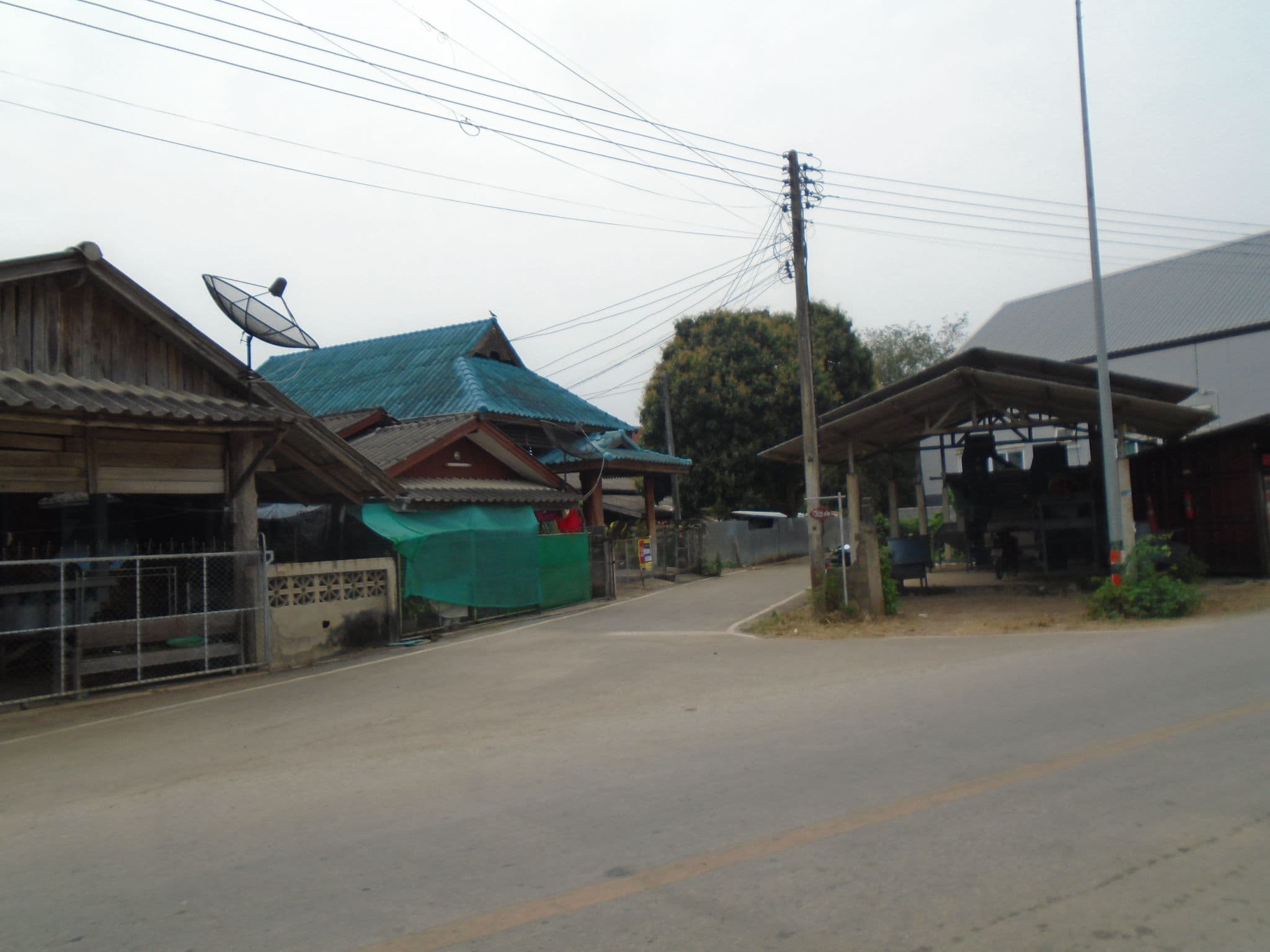 ทรัพย์ใหม่ หัวเสือ (6).JPG