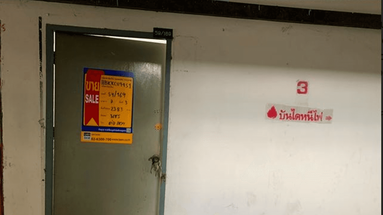 ปแ.png