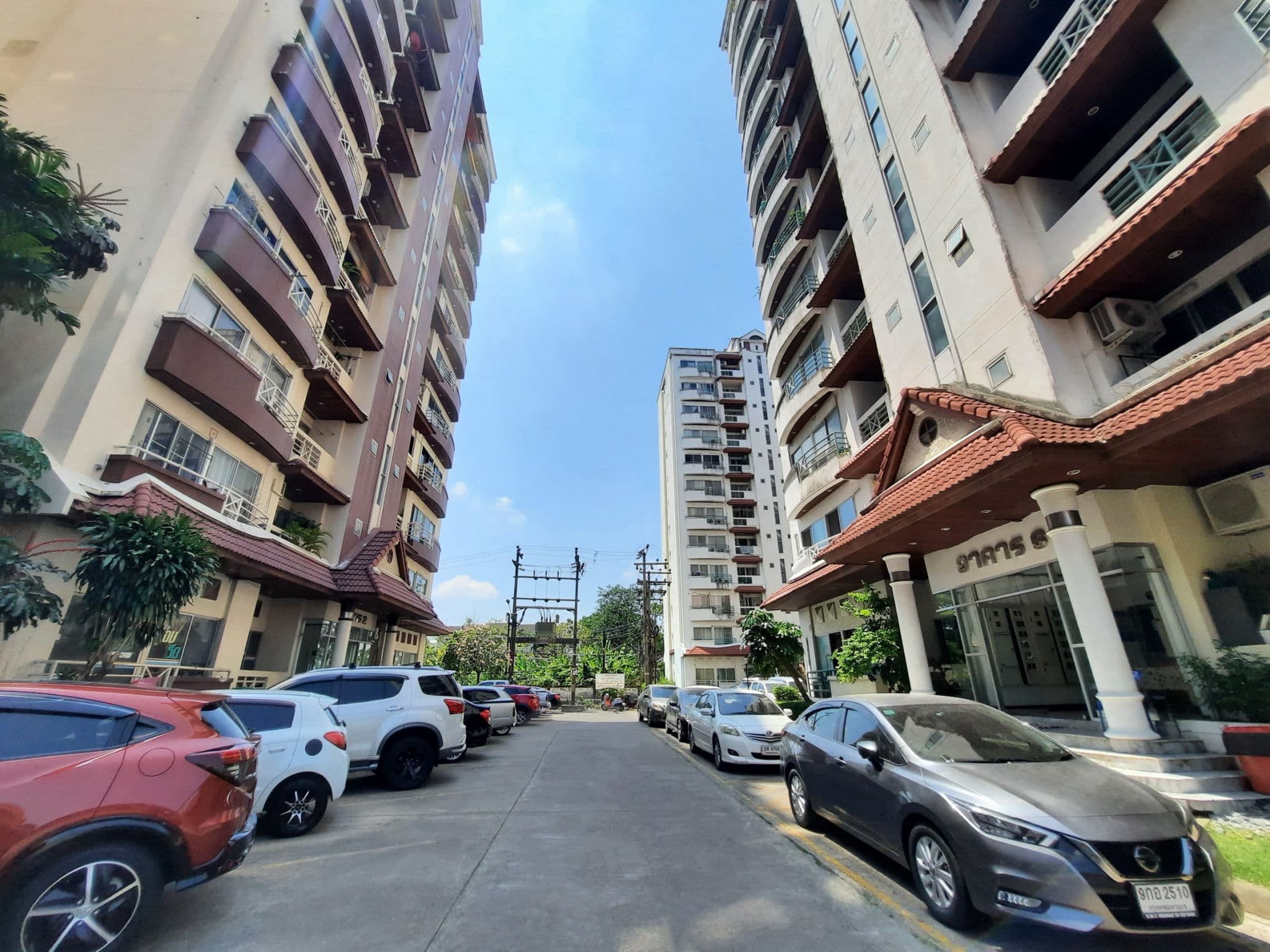 S__54763587.jpg