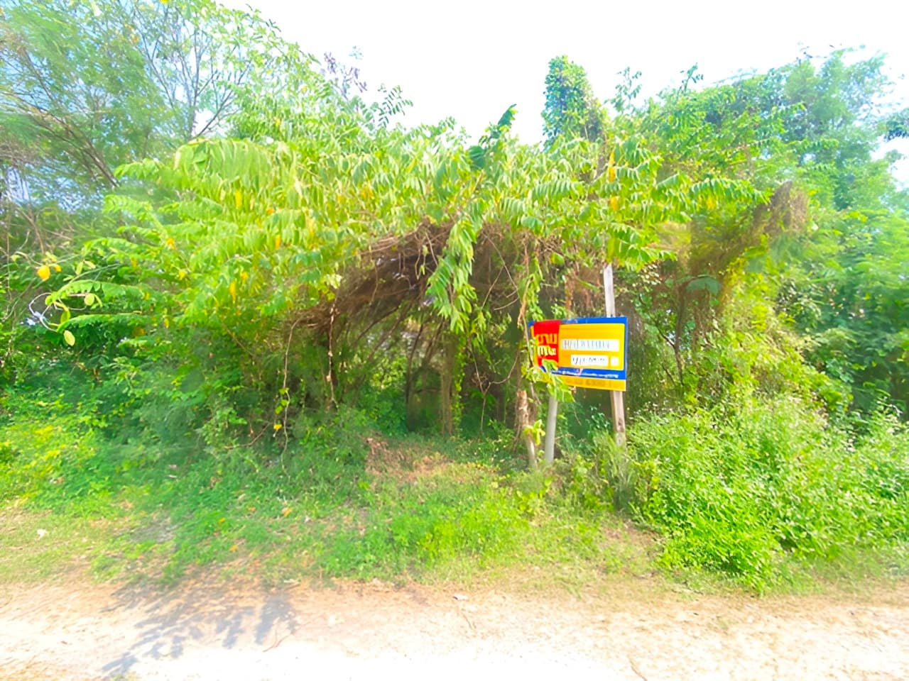 DEBKKVL0114001-1-Picsart-AiImageEnhancer.jpg