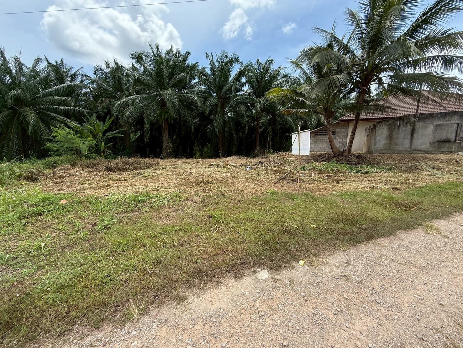 017cc45b-68882-3.jpg