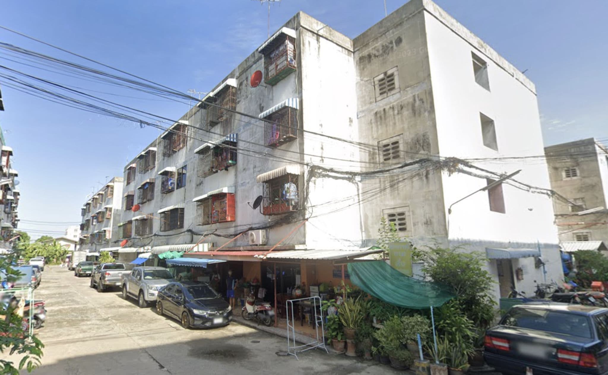 ช้างทอง.png