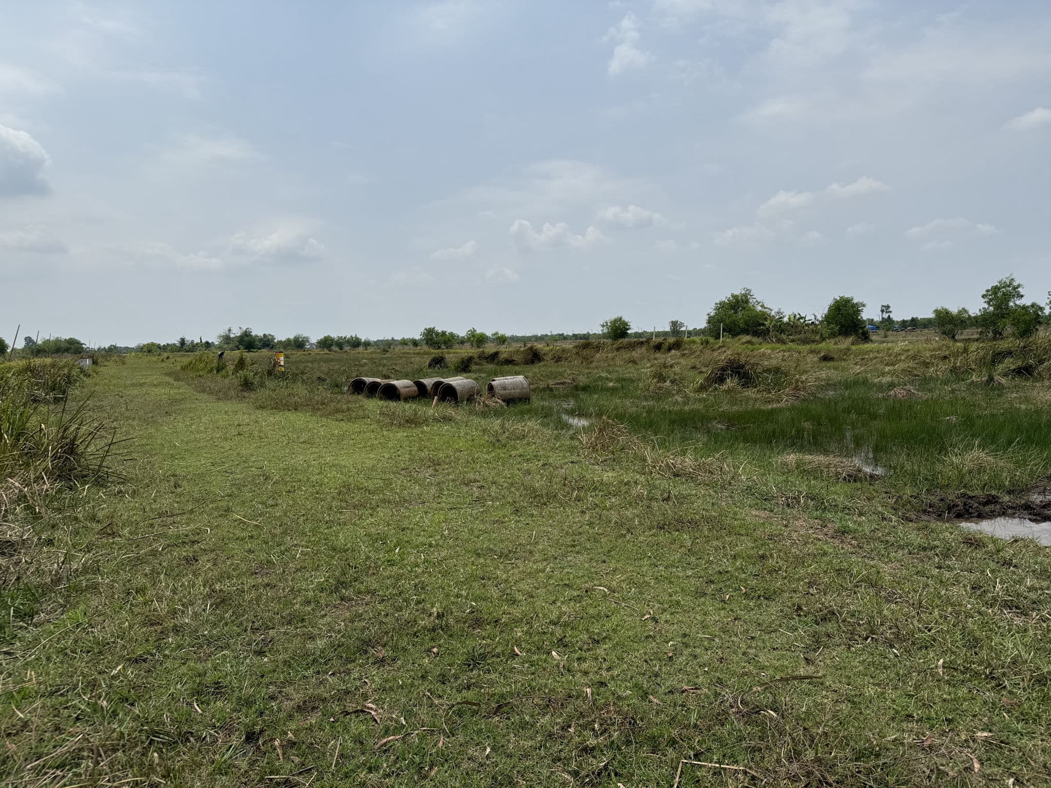 IMG_5636.JPG