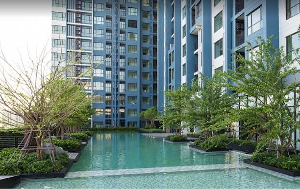 swim เบส.jpg