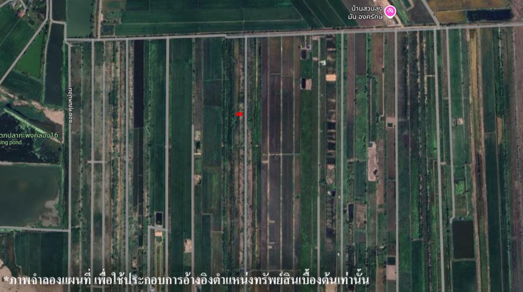 image (14).png