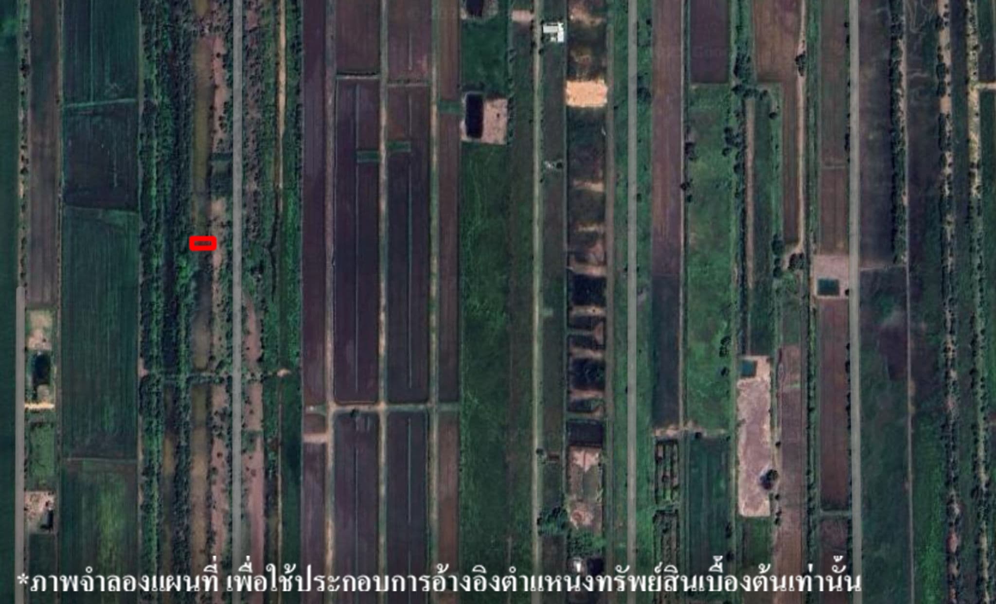 image (13).png