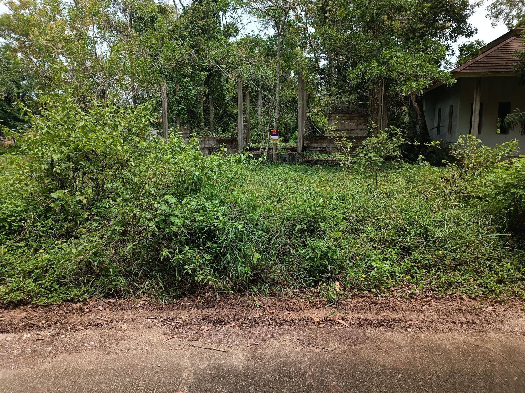 IMG_20230907_113518.jpg