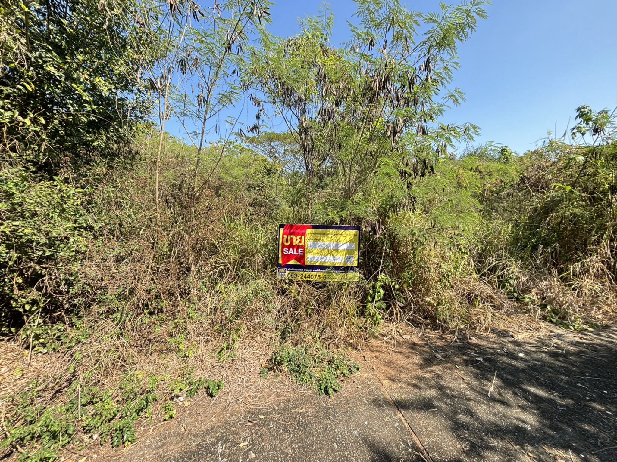 35340 4.jpg