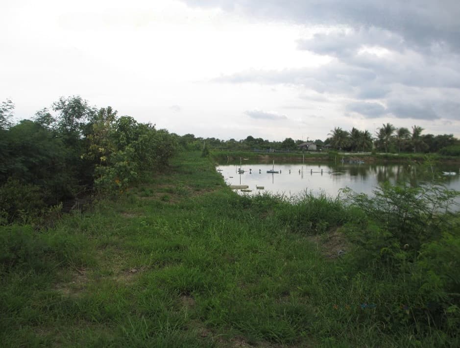 full_20200225101407.jpg