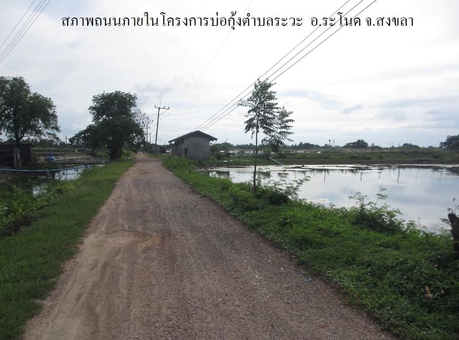 full_20200225101351.jpg