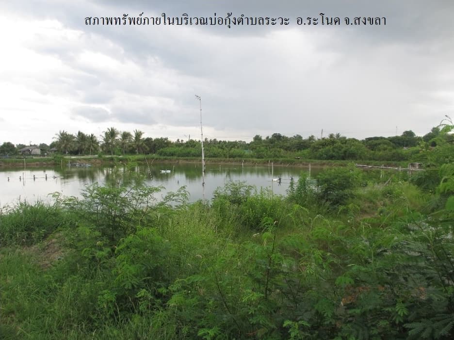 full_20200225101357.jpg
