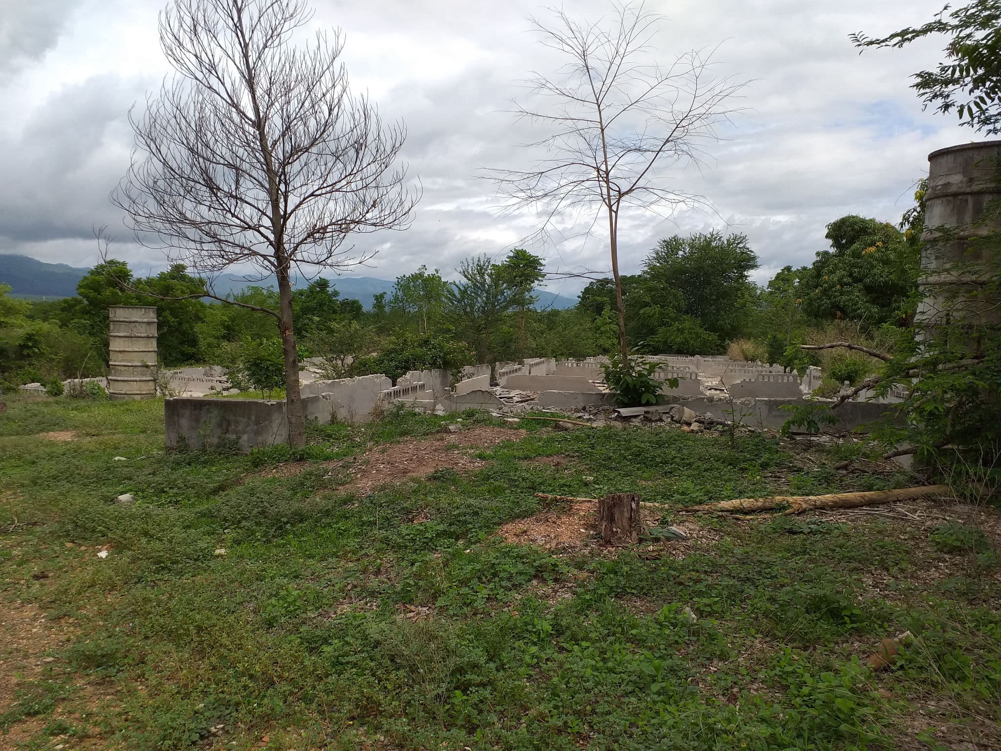 20190613_104420.jpg