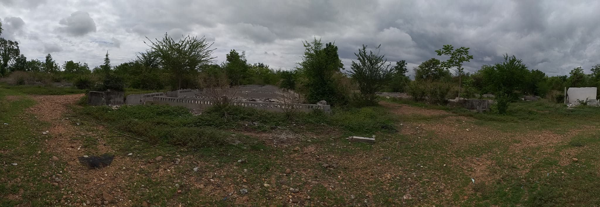 20190613_104554.jpg