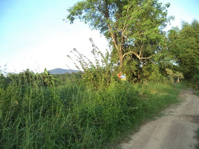 full_20201225120948.jpg