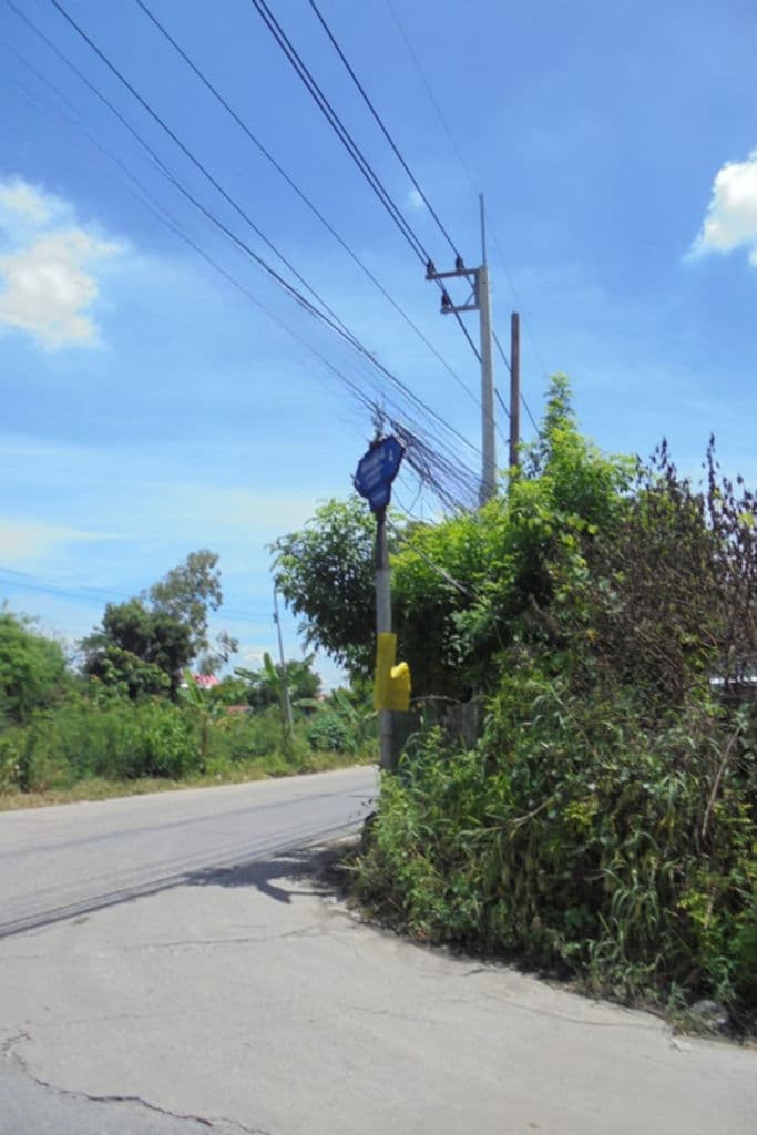 Canva Bamm (22).png