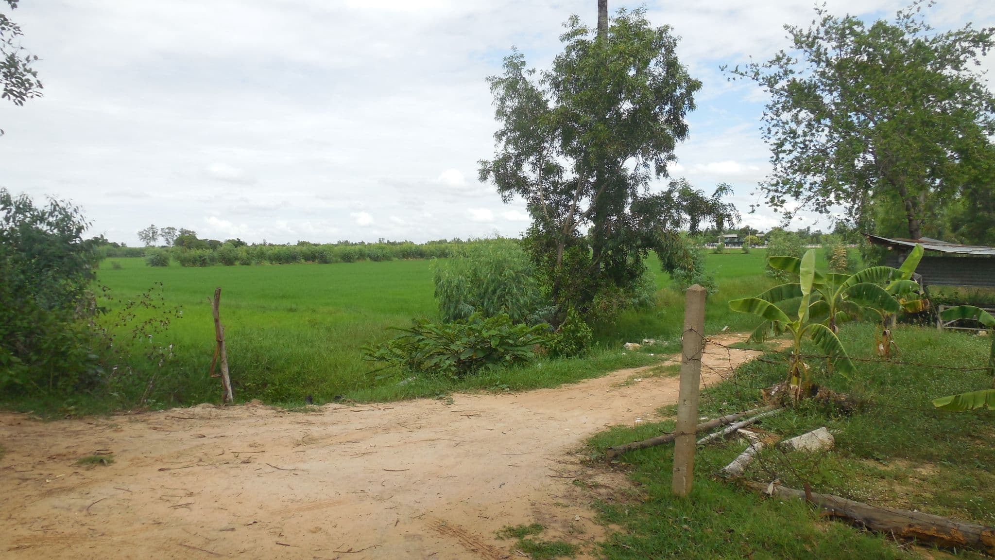 DSCN7816.JPG