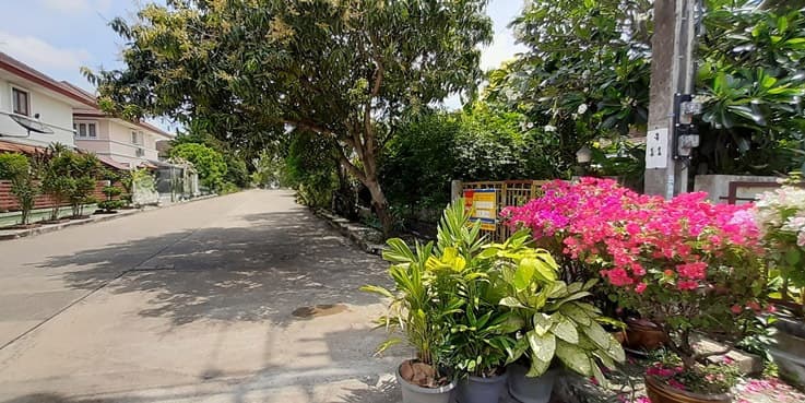 full_20220330164910.jpg