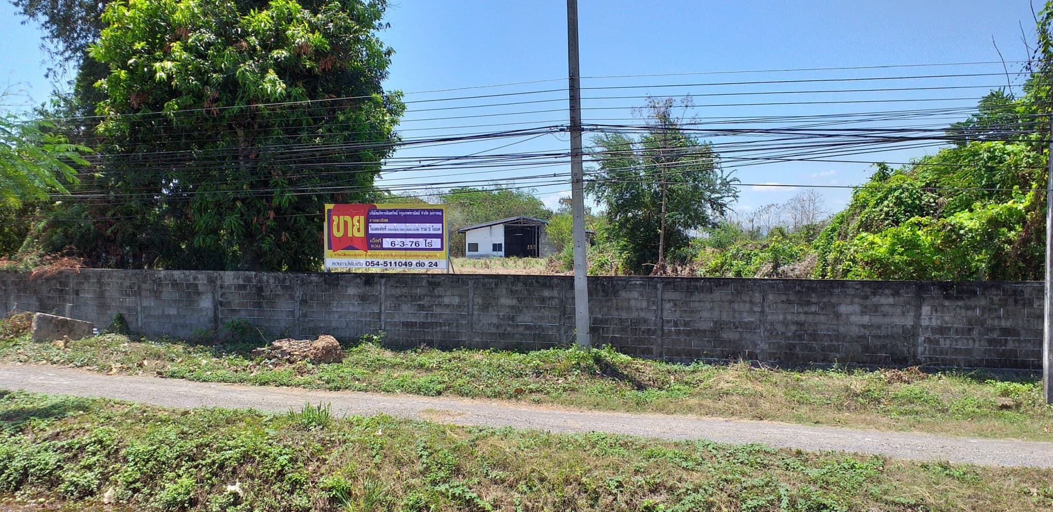 Picture1.jpg