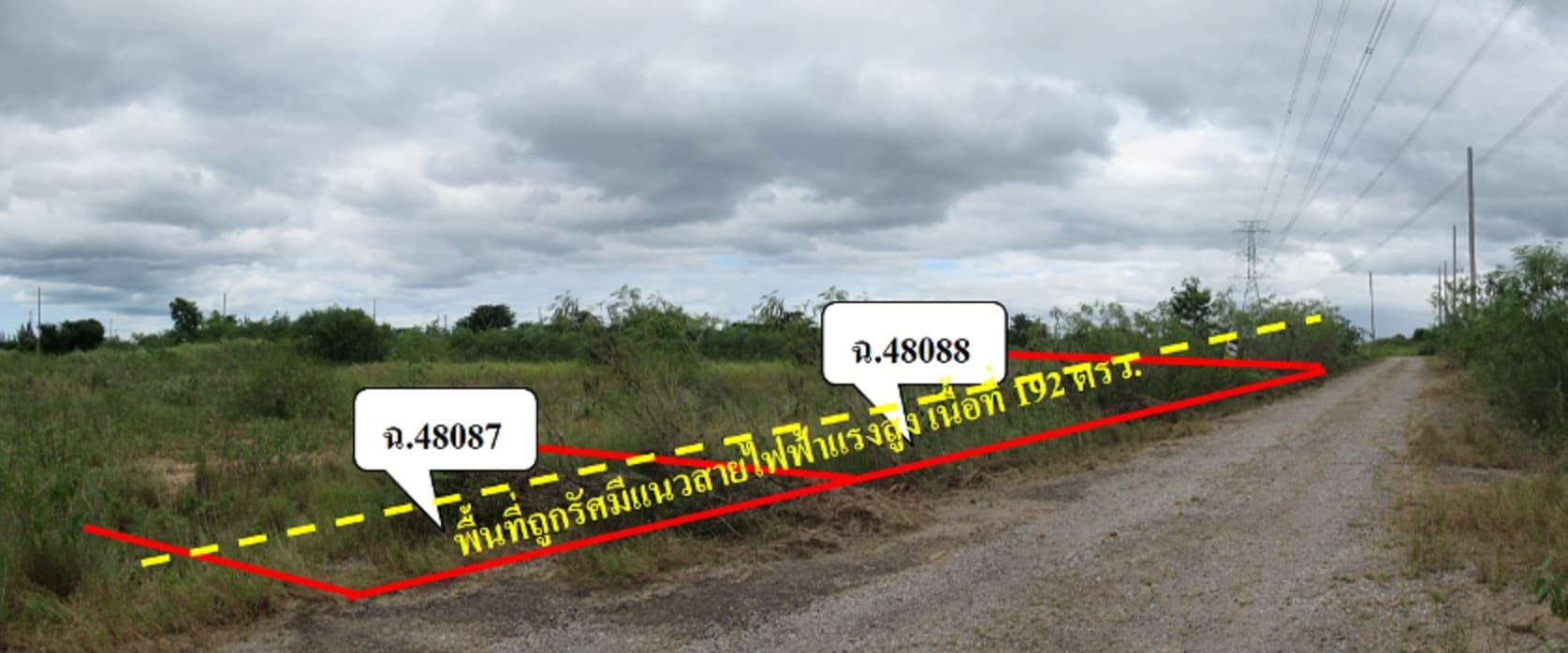 full_20190731175228.jpg