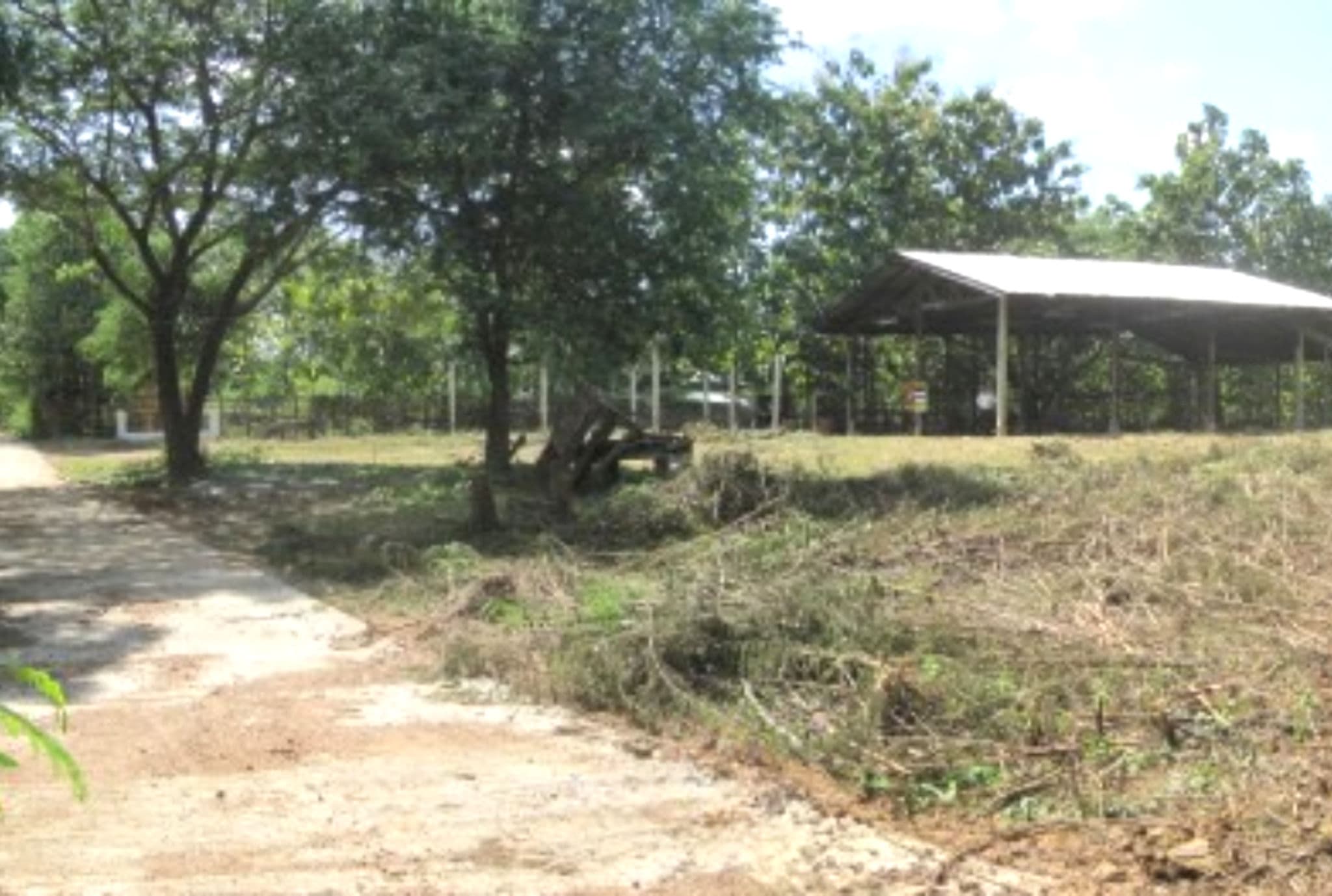 Canva Bamm แนวนอน (13).png