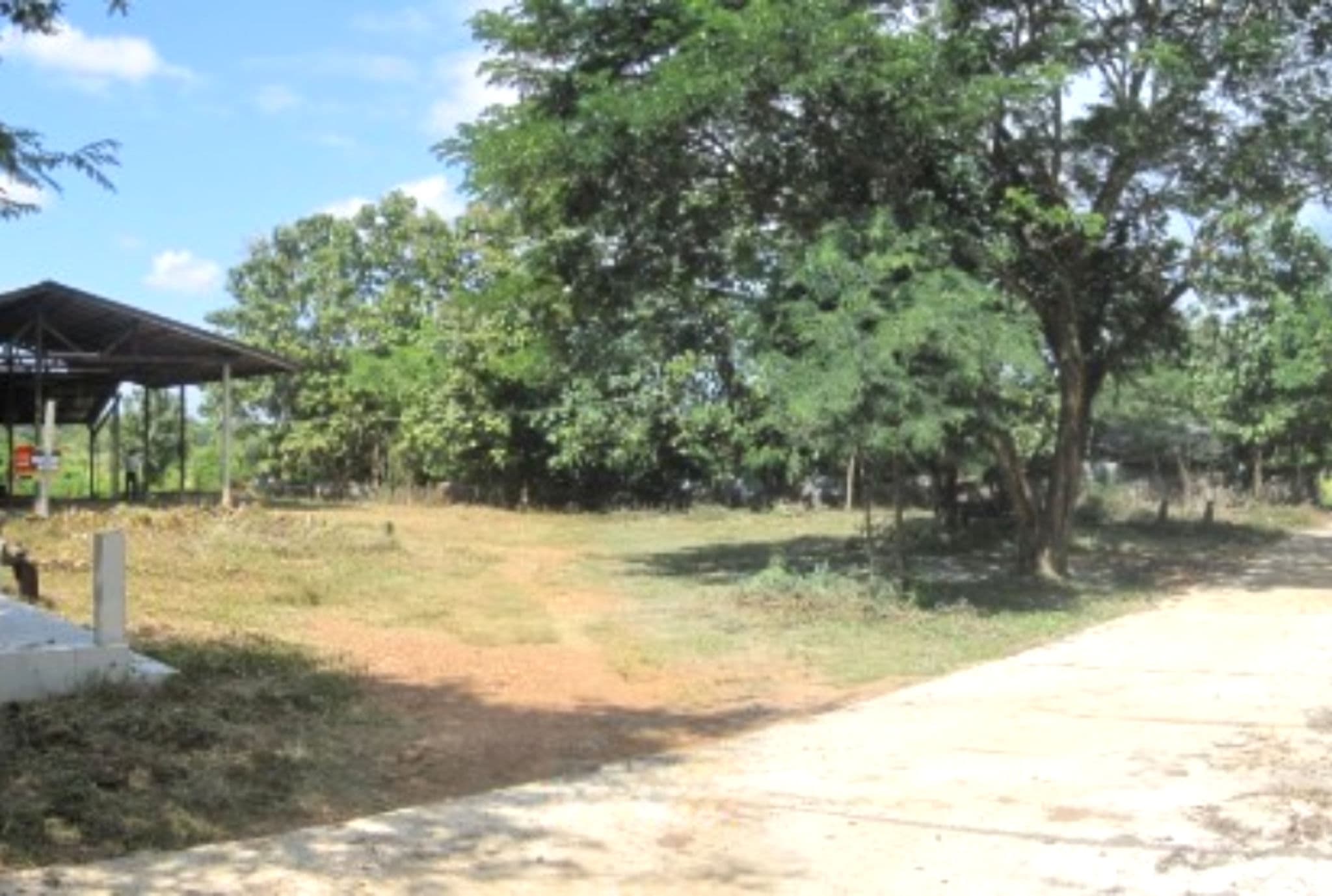 Canva Bamm แนวนอน (12).png