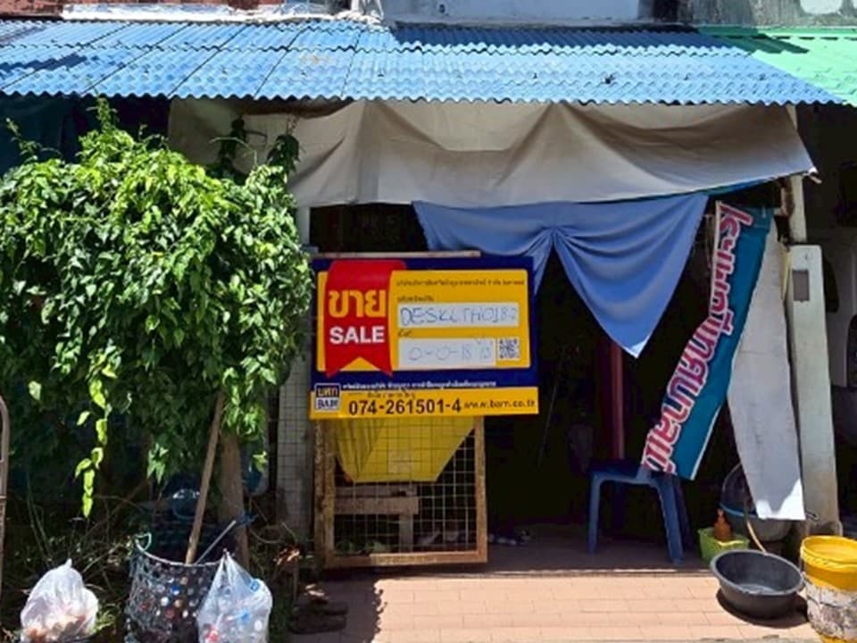 สไลด์5.JPG