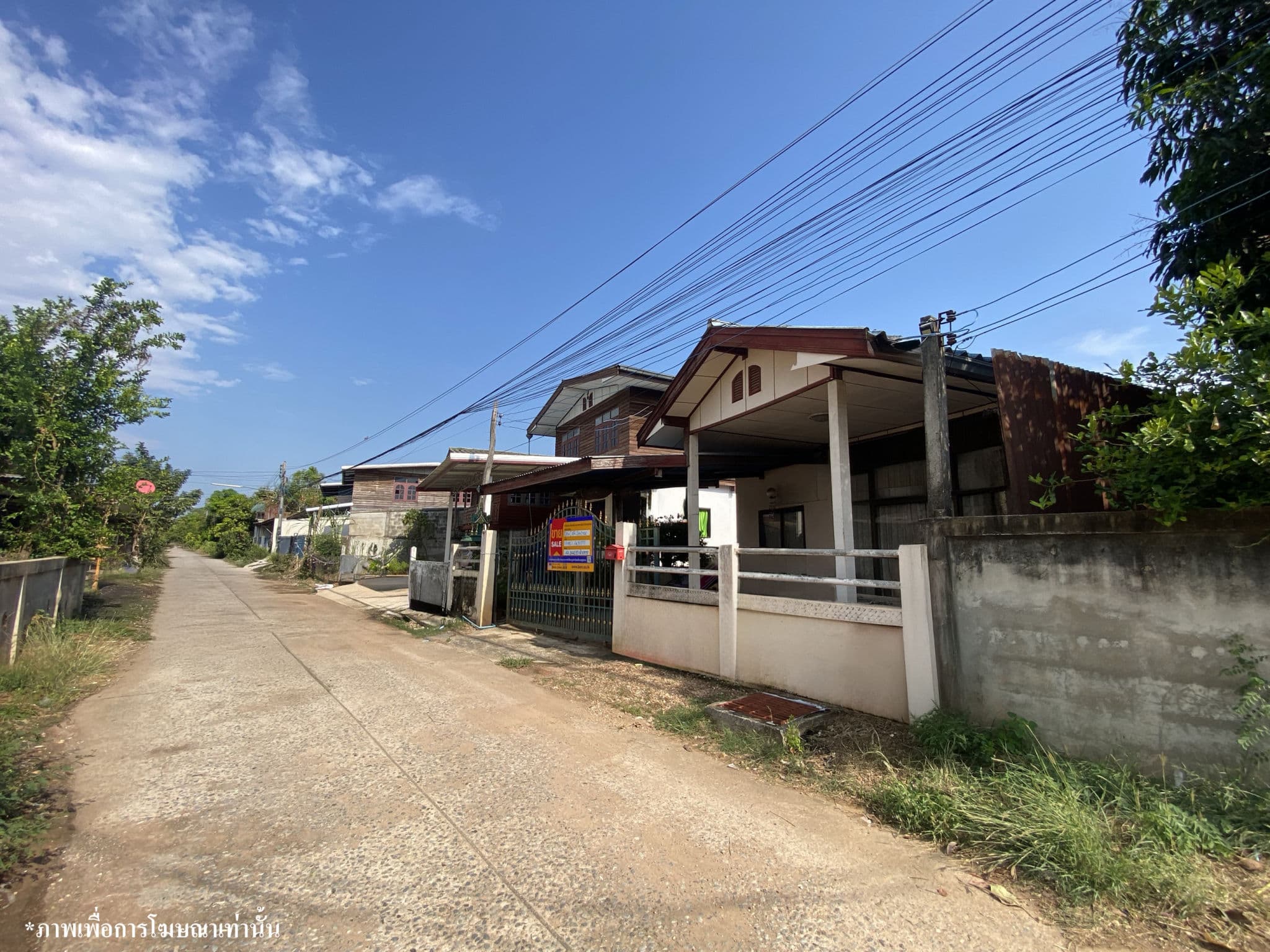 7466aae9-142358-1.jpg