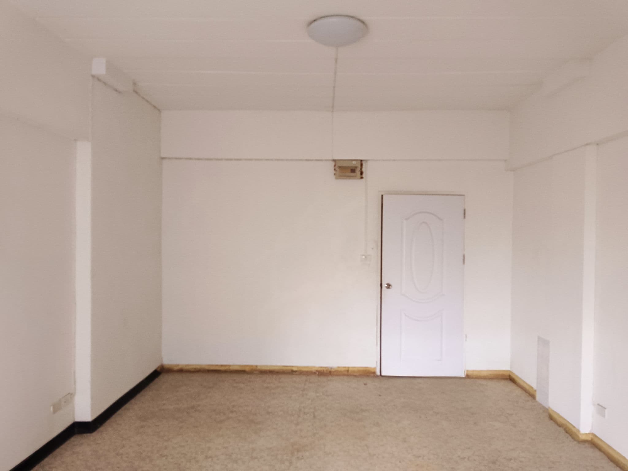 be117054-37850-4.jpg