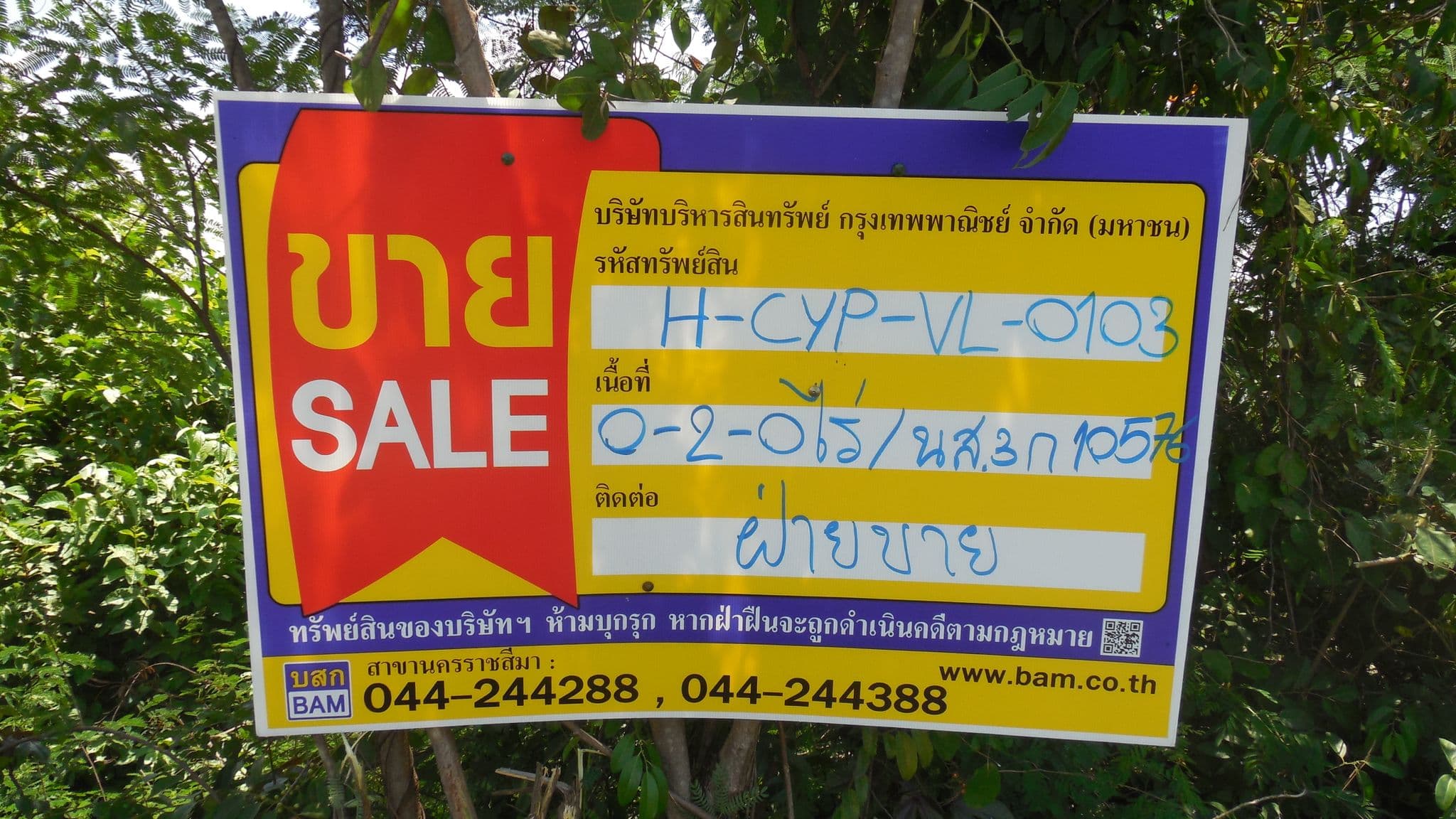 DSCN5725.JPG