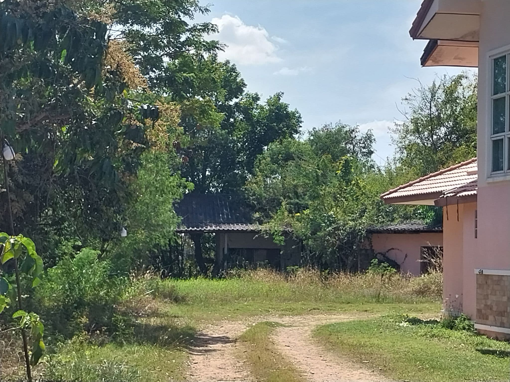 20230127_130458.jpg