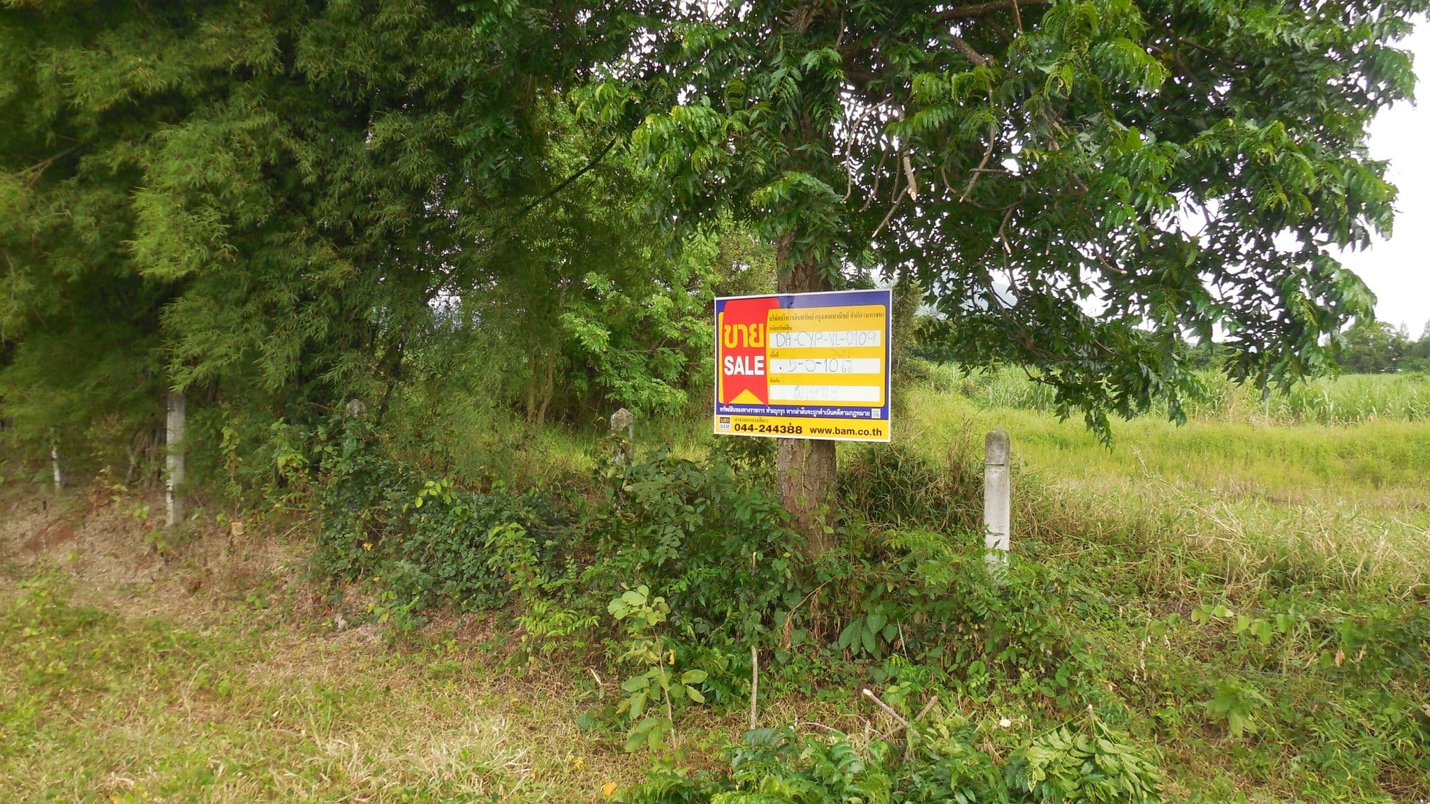 DSCN4329.JPG