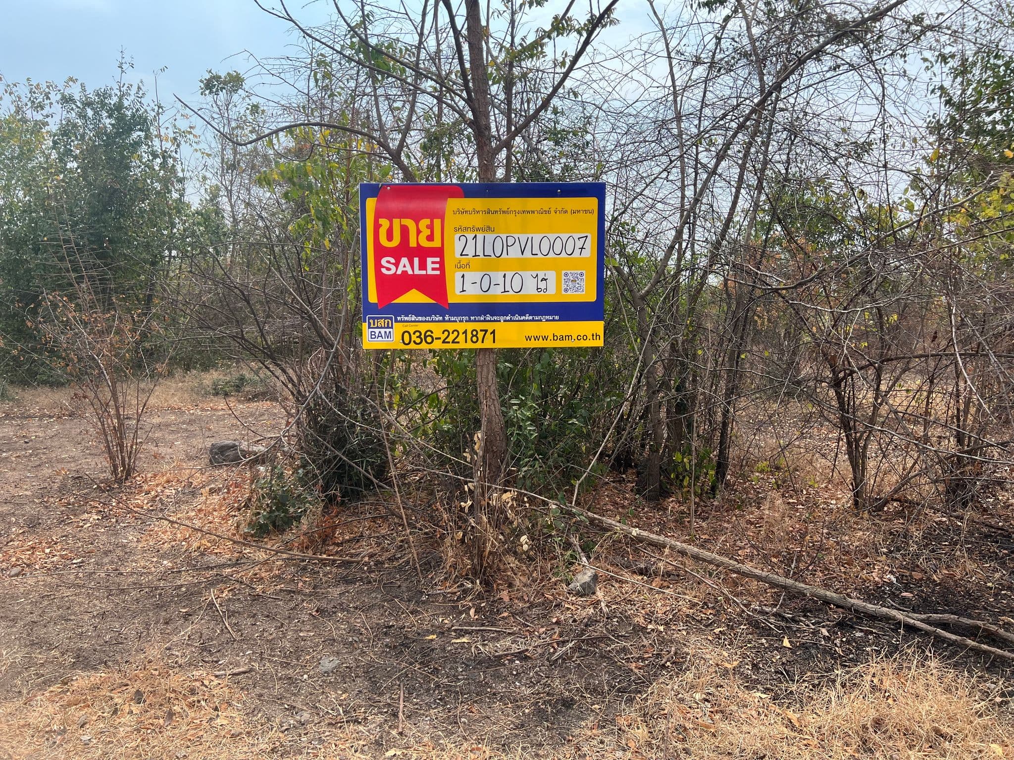 IMG_0901.JPG