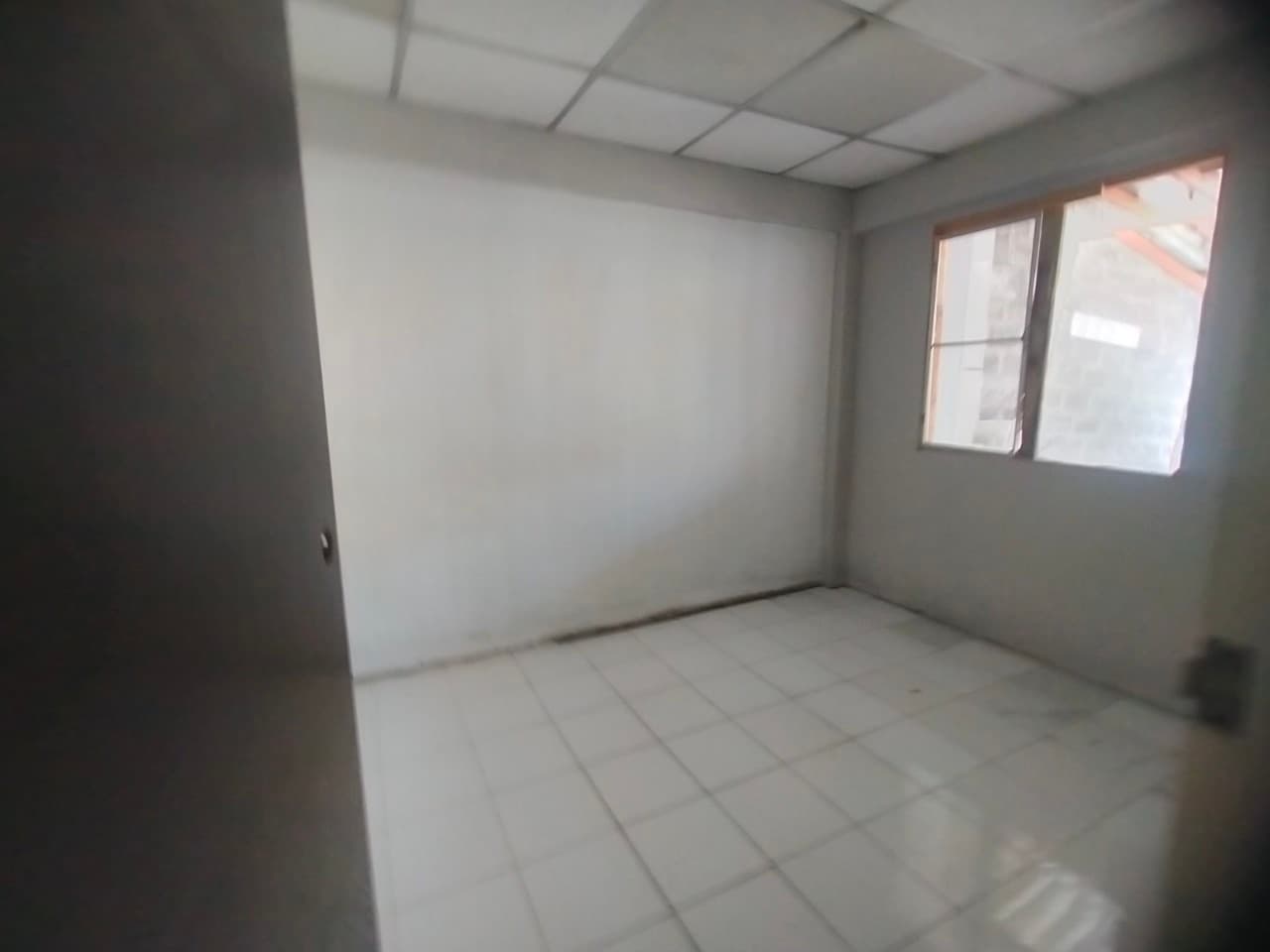 line_724887987957741.jpg