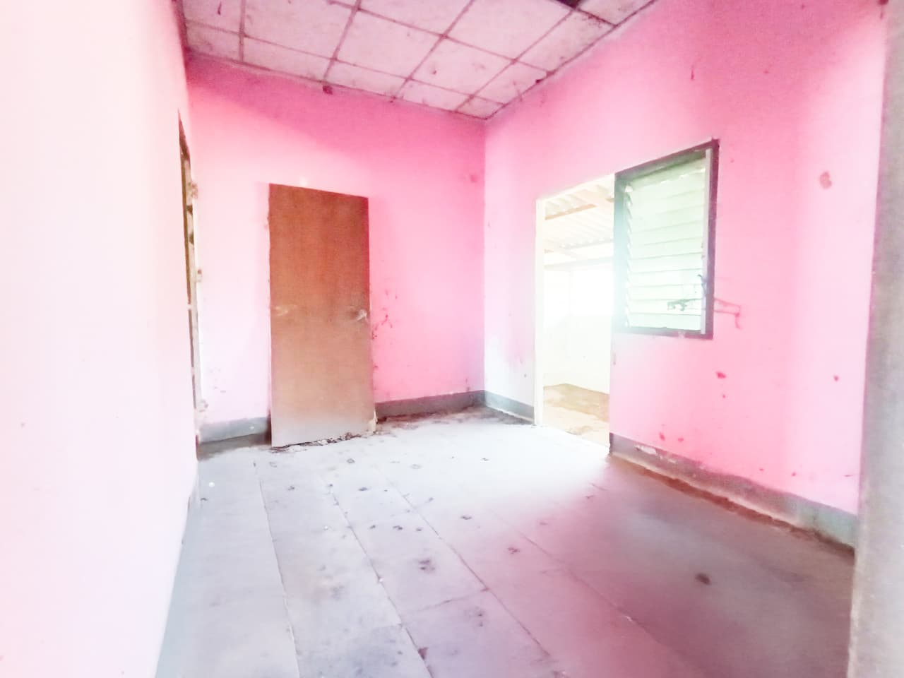 c9e4c108-1707983805607.jpg