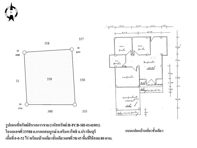 full_20210628144807.jpg