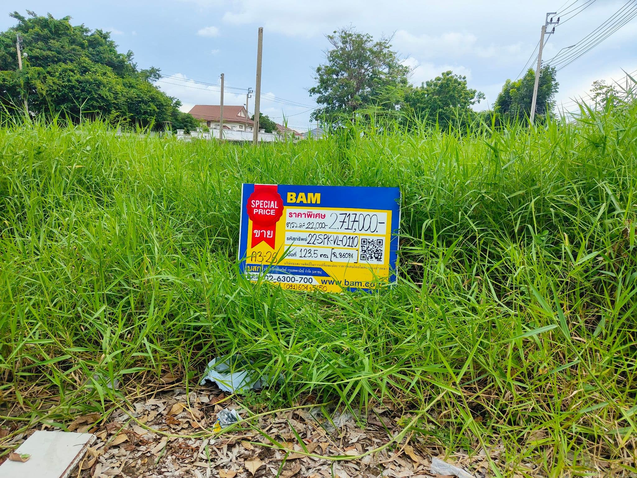 1. A3-26.jpg