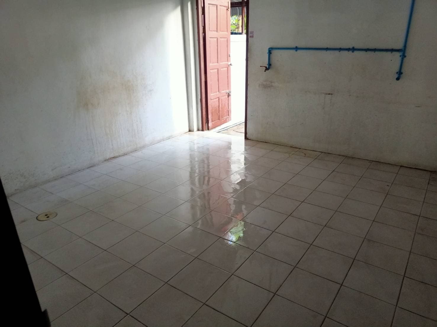 Image - 2025-12-19T094824.946.jfif