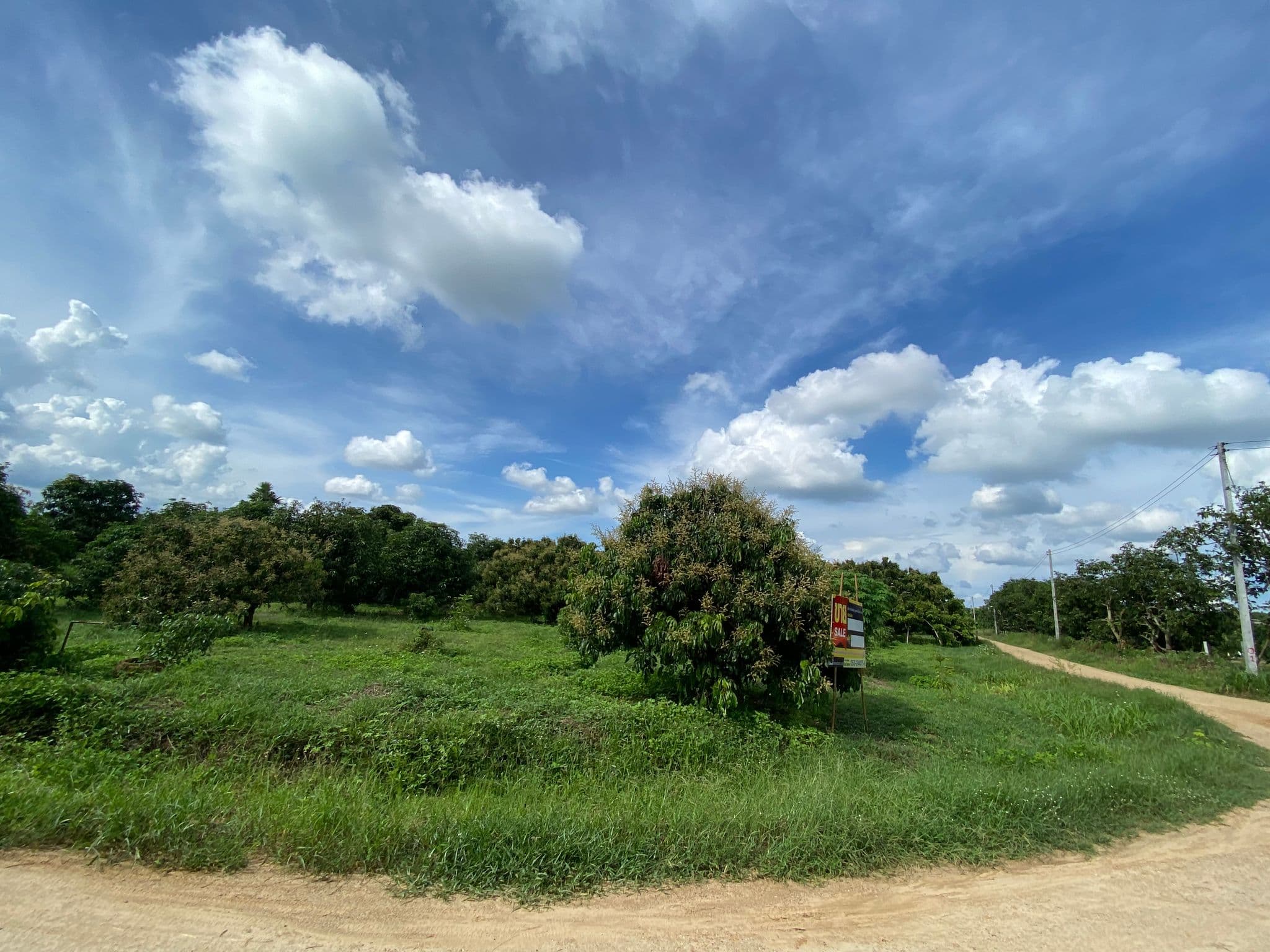 IMG_1326.JPG