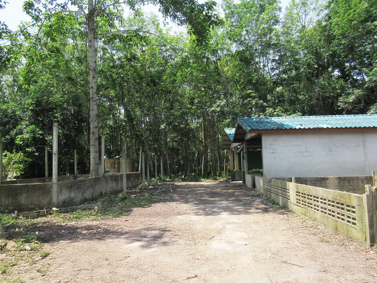 d49a693e-IMG_0066.jpg
