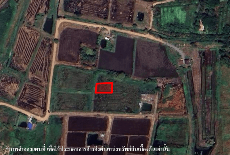image (13).png