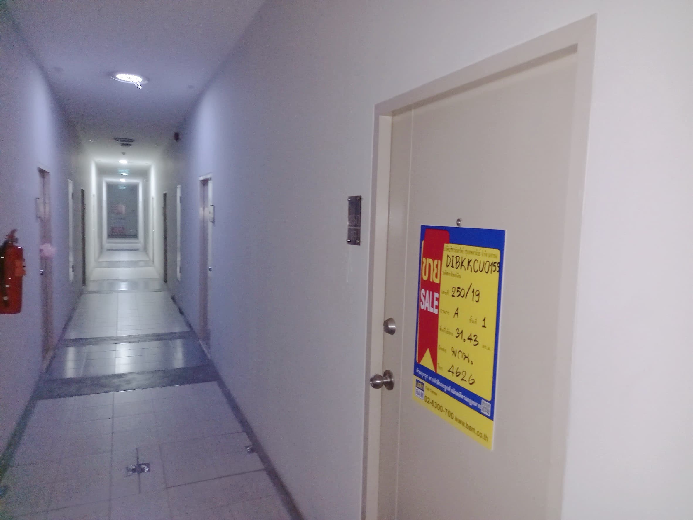 S__55091215.jpg