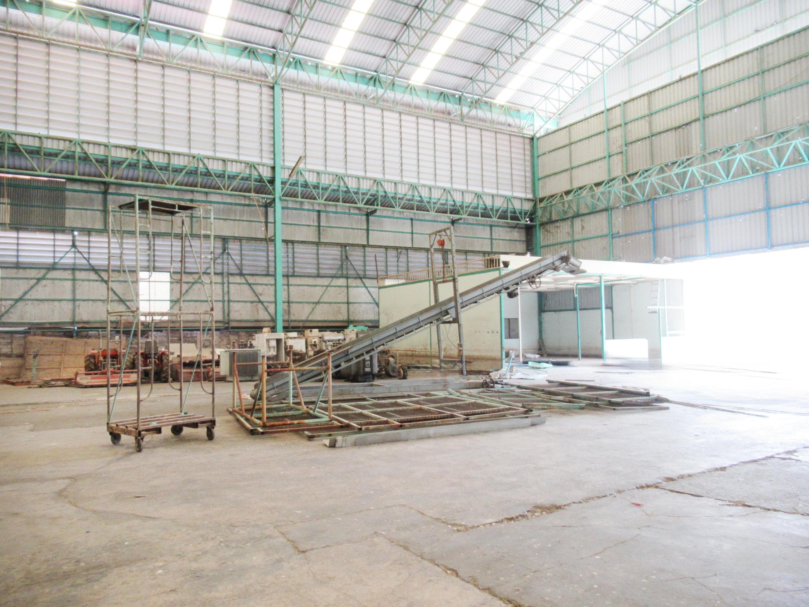 ef989667-66539-2.jpg
